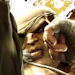 sagat