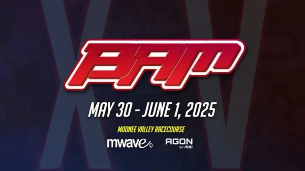 BAM 15